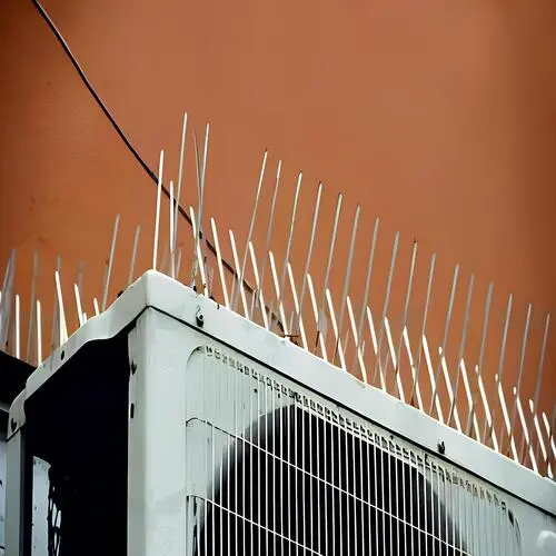 Bird Control Spikes in Vizag (Visakhapatnam) by MS Nani Enterprises (2)