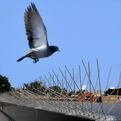Bird Control Spikes in Vizag (Visakhapatnam) by MS Nani Enterprises (3)