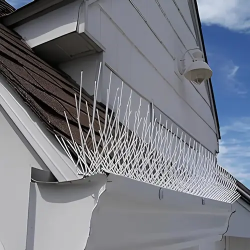 Anti Bird Spikes Installation in Vijayawada and Guntur by MS Nani Enterprises (3)