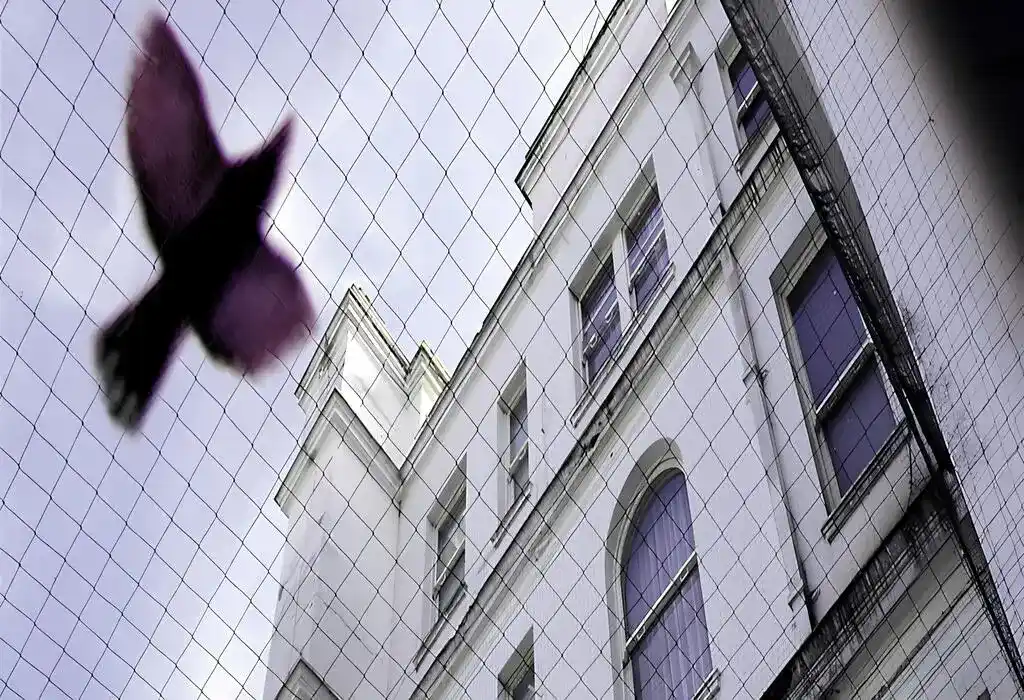 Bird Netting Service in Vizag and Rajahmundry by MS Nani Enterprises (4)