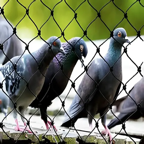 Pigeon Net for Balcony in Tirupati and Nellore