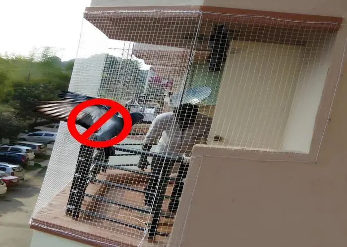 Pigeon Netting Service in Vijayawada, Guntur by MS Nani Enterprises (5)
