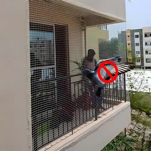Pigeon Netting Service in Vijayawada, Guntur by MS Nani Enterprises