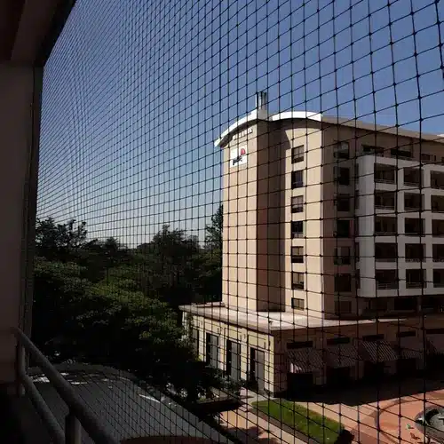 Pigeon Netting Service in Vizag (Visakhapatnam) by MS Nani Enterprises (2)
