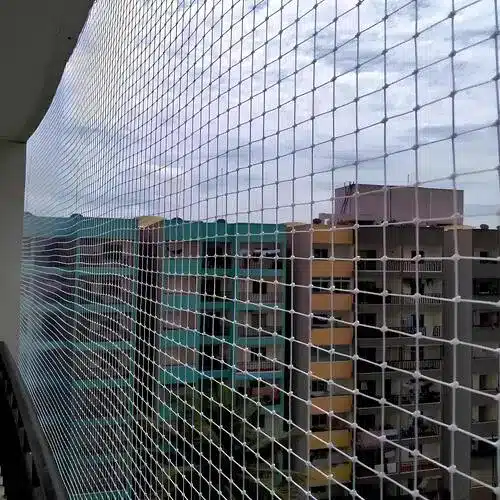 Pigeon Netting Service in Vizag and Rajahmundry by MS Nani Enterprises (2)