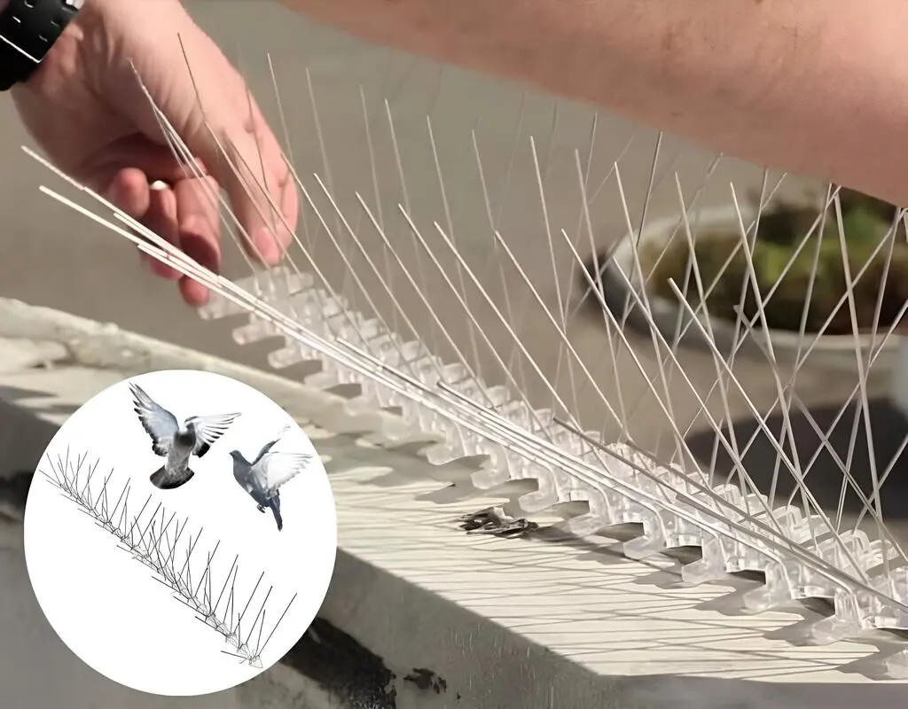 Bird Control Spikes in Vizag (Visakhapatnam) by MS Nani Enterprises (4)