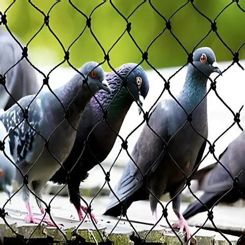 Pigeon Net Installation Price in Vizag (Visakhapatnam) by MS Nani Enterprises (3)