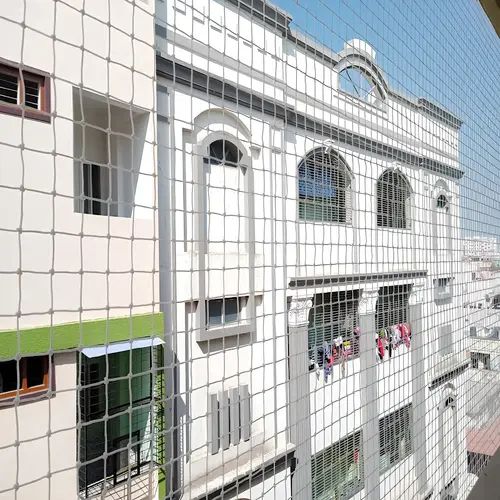 Pigeon Netting Service in Ongole and Narasaraopet - MS Nani Enterprises